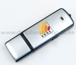 branded flash drives dolphins group