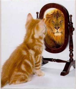 motivation tips