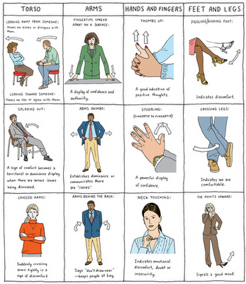 body_language_tips_dolphins_group_training