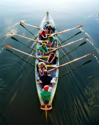 dolphins_training_and_consultants_ltd_team_building