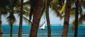 Mombasa,Nairobi,Naivasha August 2026 Training Programs for you