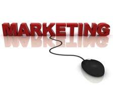 dolphins_group_articles_marketing